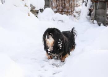 EAttachments9265985d3d54831ef1892f13b2fd9ef895630df xl