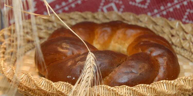 EAttachments926600264d2b829b7b6e8e5b56685f98e516cbd xl