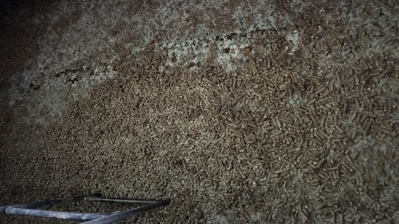 Blisko 300 ton śruty słonecznikowej zatrzymano na granicy 3 20260112_śruta_słonecznikowa(3).jpg