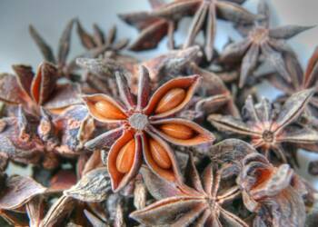 13.01.2026 Żyj zdrowo - anyż gwiazdkowaty i cynamon 2 EAttachments92680842a1ee6b333f2fb7d4611cff3372b632a xl