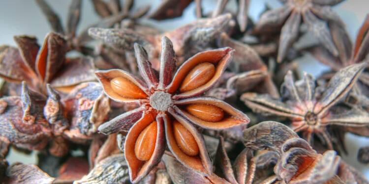 EAttachments92680842a1ee6b333f2fb7d4611cff3372b632a xl