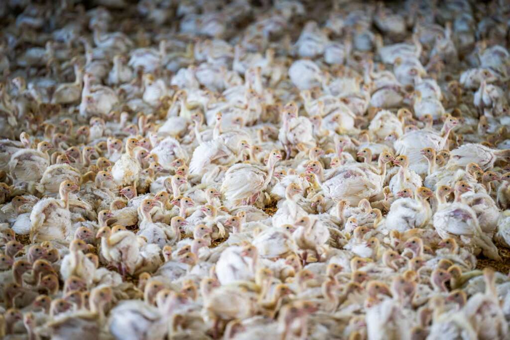 EAttachments92684318100a7aadee46446fcb3bbc6f25d481f xl