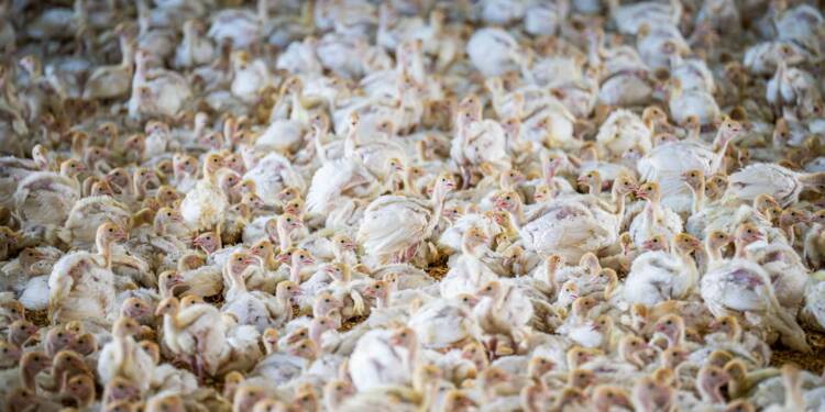 EAttachments92684318100a7aadee46446fcb3bbc6f25d481f xl