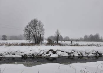 EAttachments926925537938b2ec718776e0e9e59329c300edd xl