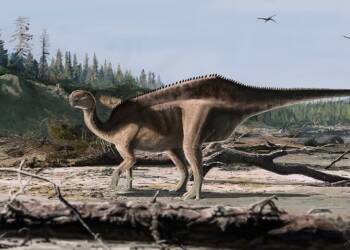 EAttachments9269666171b5009b16ac411062bb02d6266e0f8 xl