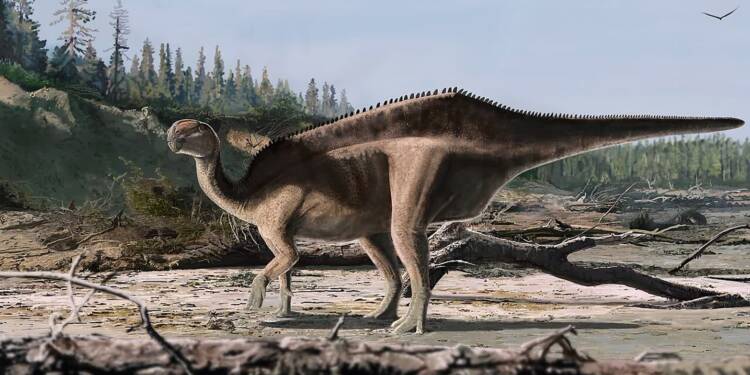 EAttachments9269666171b5009b16ac411062bb02d6266e0f8 xl