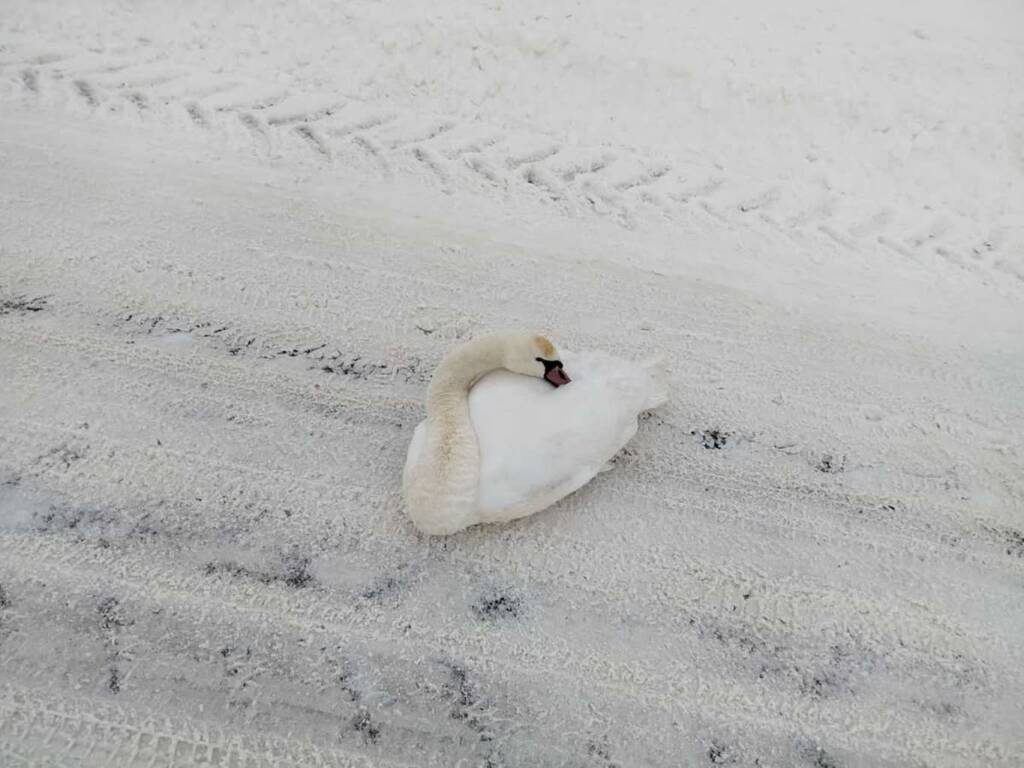 EAttachments9273233a946394440c39a0d9d165c056a5dde2b xl