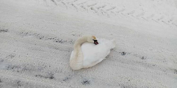 EAttachments9273233a946394440c39a0d9d165c056a5dde2b xl