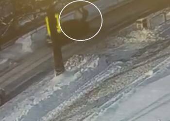 EAttachments927396232dec5798e1ba6b8f8ee80107072e577 xl