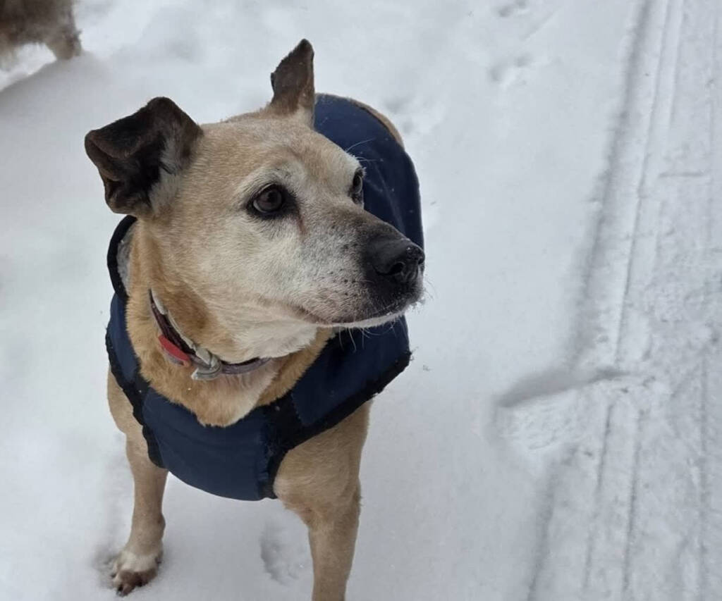 EAttachments9275253d50b50f975261d8cf1774714a6d00c3f xl