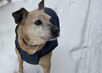 EAttachments9275253d50b50f975261d8cf1774714a6d00c3f xl