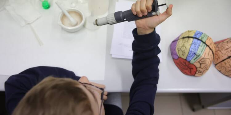 EAttachments92767779a8e6efe7a0ec1b113bfd25fd416685c xl