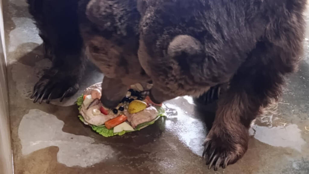 EAttachments927765349098af1c0648881277157477b3b7d9c xl