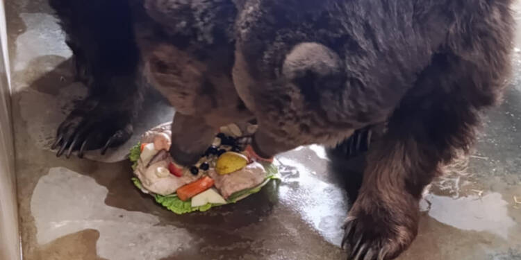 EAttachments927765349098af1c0648881277157477b3b7d9c xl