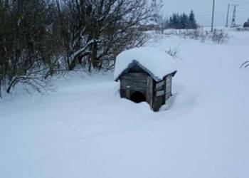 EAttachments927772626abe5dce01cc332d8f0ba406ebb8327 xl 1024x606 1