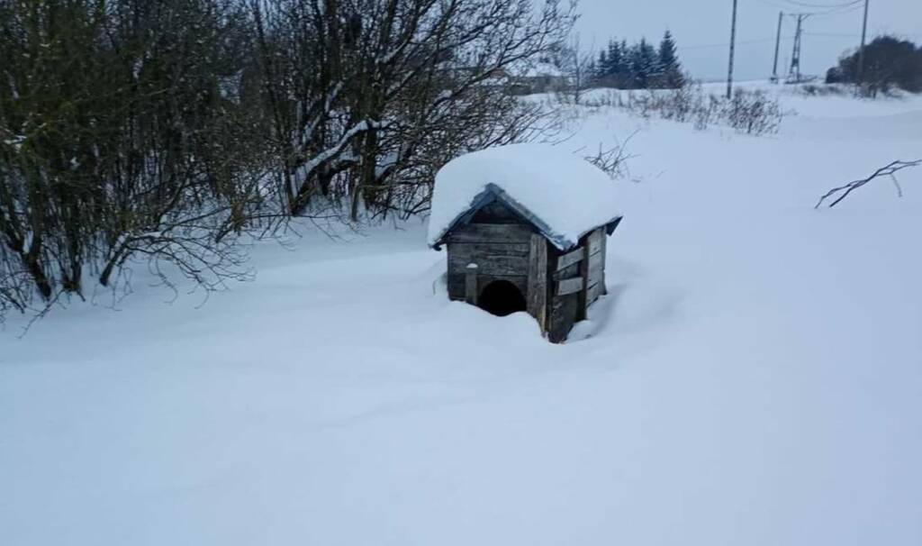 EAttachments927772626abe5dce01cc332d8f0ba406ebb8327 xl