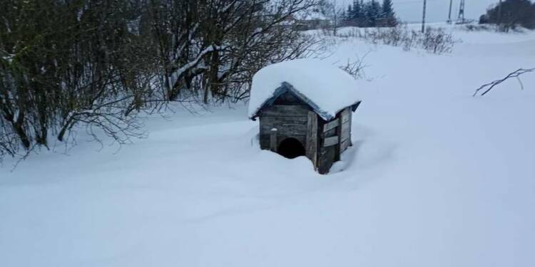 EAttachments927772626abe5dce01cc332d8f0ba406ebb8327 xl