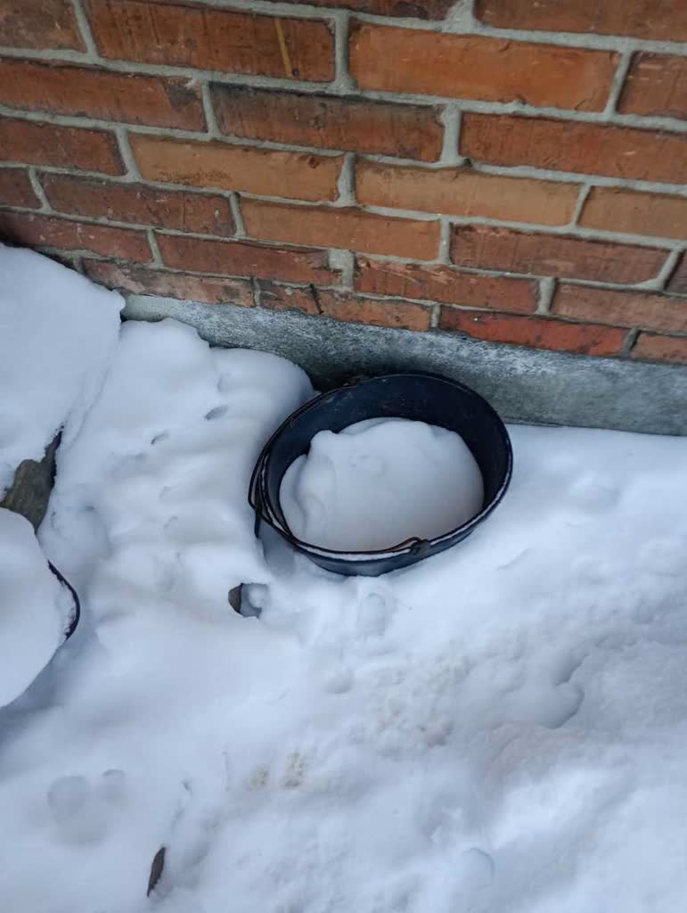 Zostawił zwierzęta na mrozie i wyprowadził się. Grozi mu więzienie 2 346-283512.jpg