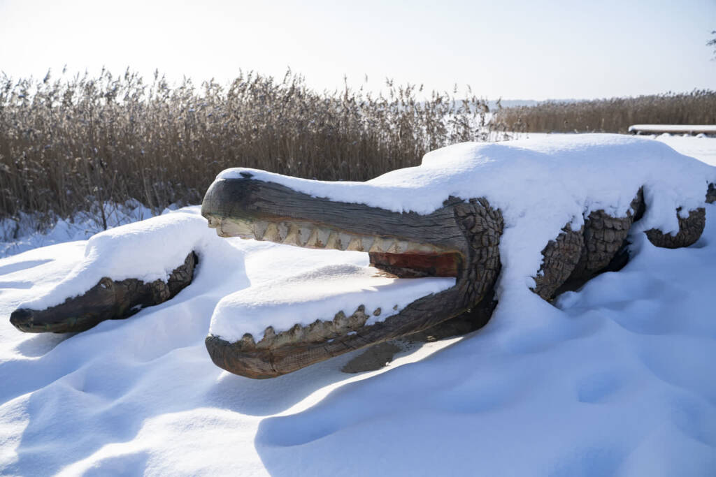 EAttachments92778660b097379c616f066c5e9163341653415 xl