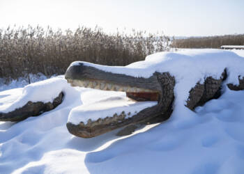 EAttachments92778660b097379c616f066c5e9163341653415 xl