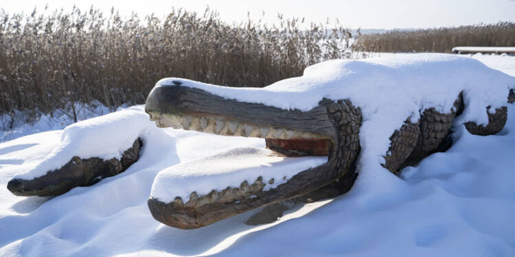 EAttachments92778660b097379c616f066c5e9163341653415 xl