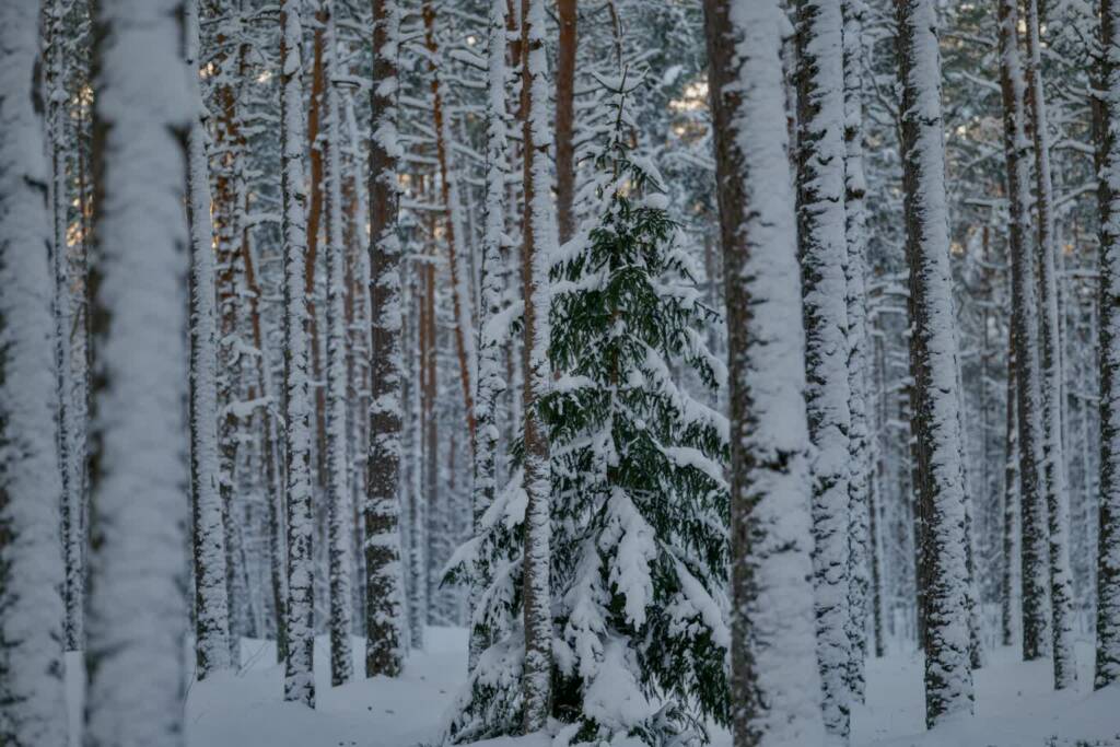 EAttachments92787293204d638f171c8a05087dafbb695f46c xl