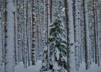 EAttachments92787293204d638f171c8a05087dafbb695f46c xl