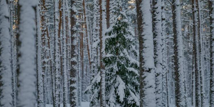 EAttachments92787293204d638f171c8a05087dafbb695f46c xl