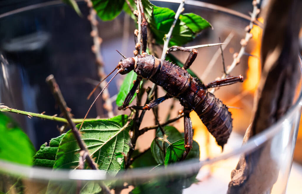 EAttachments9278809ac310ab164f7487d5e77ab5148cad3ad xl