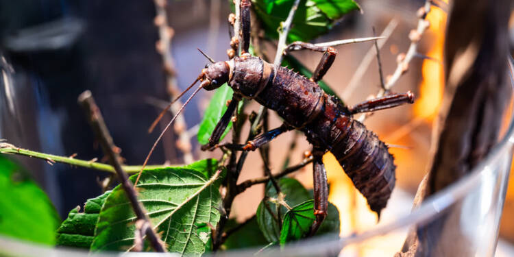 EAttachments9278809ac310ab164f7487d5e77ab5148cad3ad xl