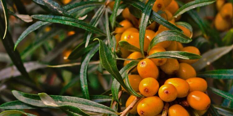 EAttachments9279267128f7d8af2e1eaea3149c480e05b8df8 xl