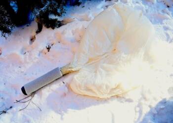 EAttachments9279929fc67ba0bd10bc2b907231e2945f2c445 xl 1