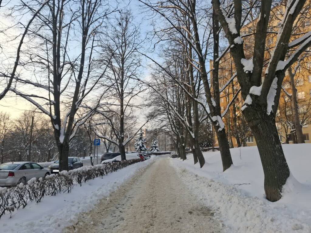 EAttachments9281898c8a45dad7d3255bc9deeb8eec4d81269 1 xl