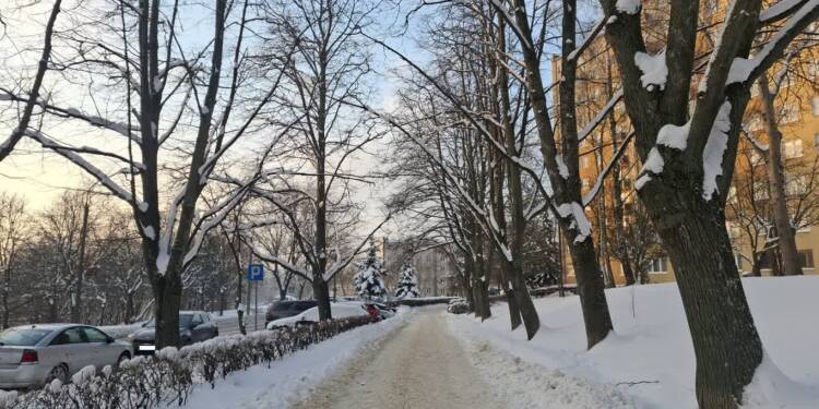 EAttachments9281898c8a45dad7d3255bc9deeb8eec4d81269 1 xl