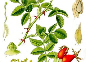 EAttachments92820125bc4a138ccf8b44a41128ba4c8712db2 xl