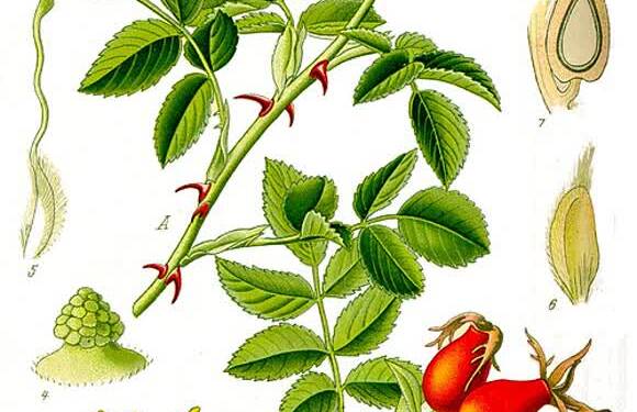 EAttachments92820125bc4a138ccf8b44a41128ba4c8712db2 xl