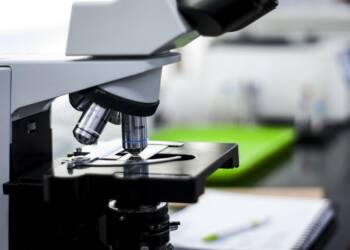 EAttachments92829723aebfb76a7f33f2e6cb6636fb62c7596 xl