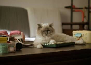 EAttachments9288632259e54a4672f4eee6313aff0aedaa3bc xl