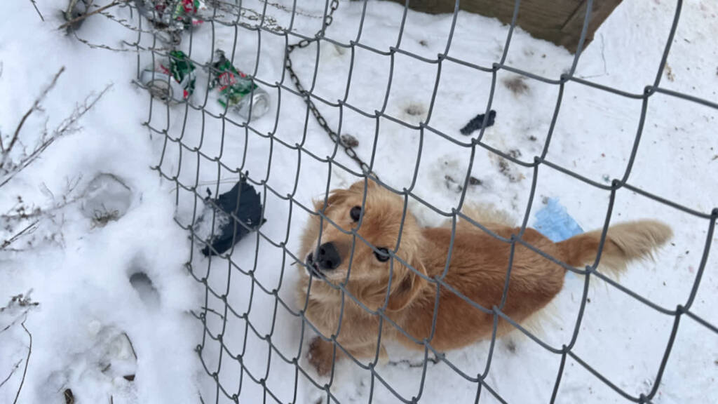 EAttachments9289963a6ccf1a1c9da063b396e0165868f5266 xl