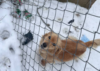 EAttachments9289963a6ccf1a1c9da063b396e0165868f5266 xl