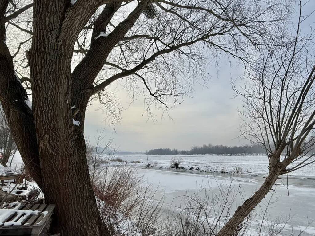 Śnieg połamał drzewa. Park zamknął ścieżkę 1 EAttachments9290333f643d107654851a870019ef06ec2c854 xl 1