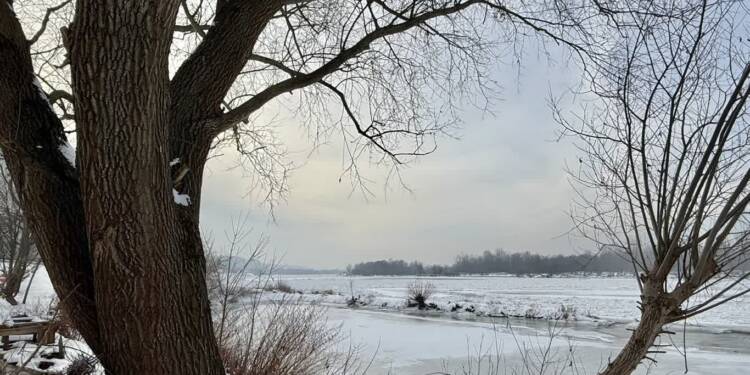 Śnieg połamał drzewa. Park zamknął ścieżkę 1 EAttachments9290333f643d107654851a870019ef06ec2c854 xl 1