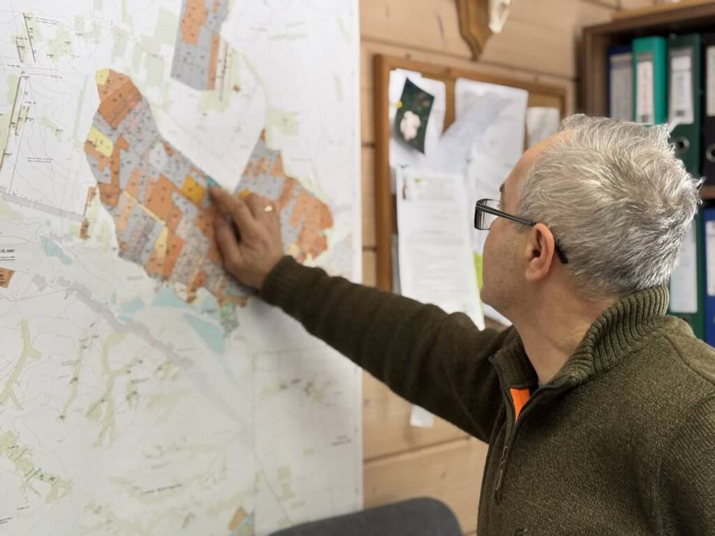 24.01.2026 Leśne wędrowanie 1 EAttachments9290683032b2cc936860b03048302d991c3498f xl