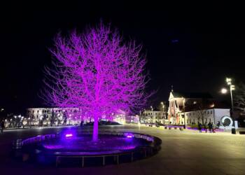 EAttachments9291321a8a0cd6794a4db6756dde469ff951047