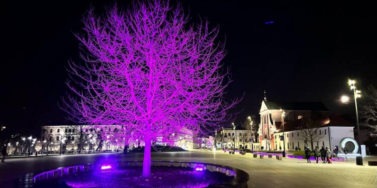 EAttachments9291321a8a0cd6794a4db6756dde469ff951047