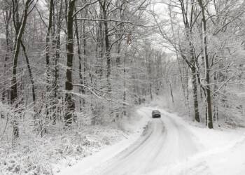 EAttachments9295050f3dab1ba687765324201b5ae42ea24c0 xl