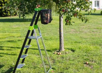 EAttachments9295559719b92931c00af9021e24b179a82c8b3 xl