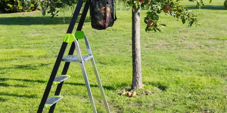 EAttachments9295559719b92931c00af9021e24b179a82c8b3 xl