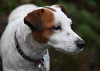 EAttachments9296168339d0cf24b787a16d4276f34c0e8232a xl