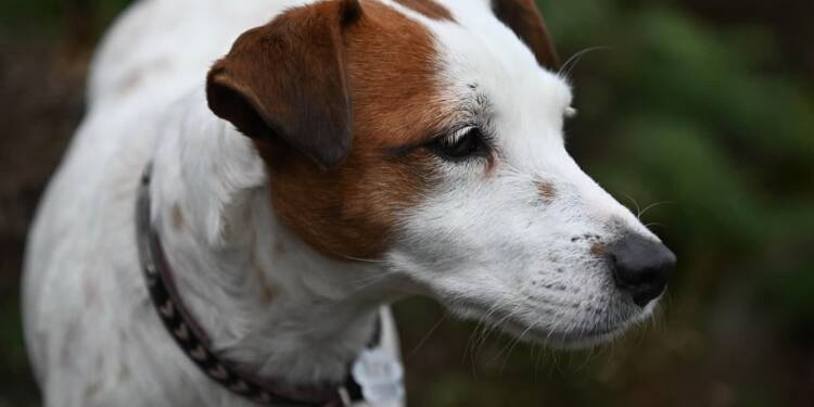 EAttachments9296168339d0cf24b787a16d4276f34c0e8232a xl